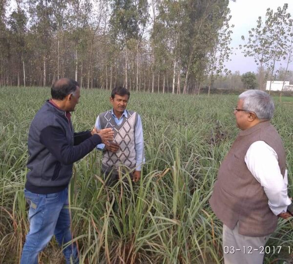WhatsApp Image 2024-11-30 at 20.43.35