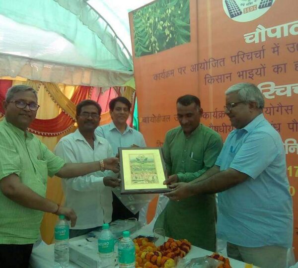 WhatsApp Image 2024-11-30 at 20.43.36 (1)